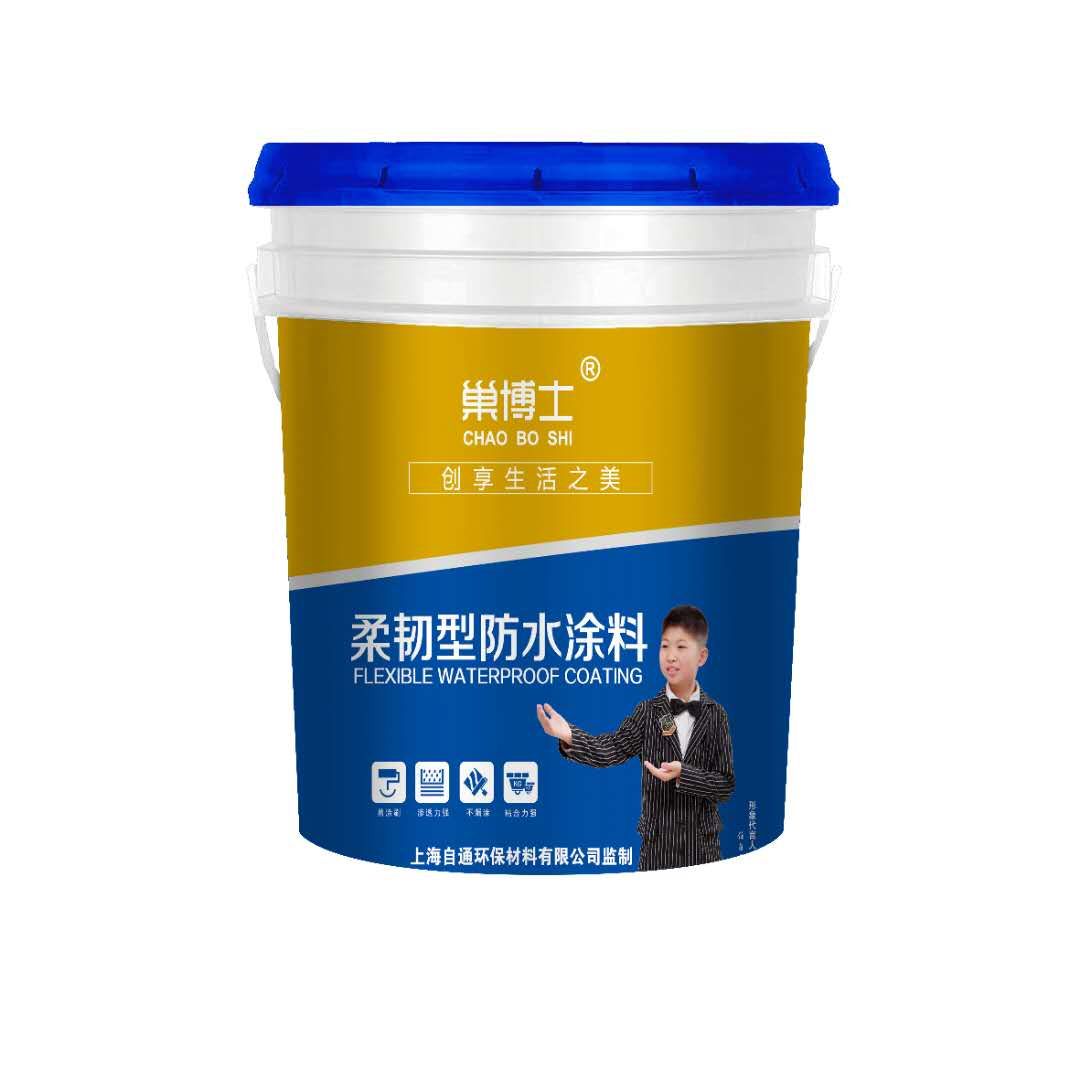 巢博士